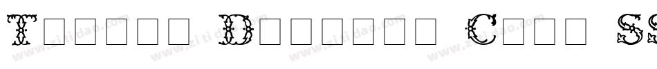Techno Display Caps SSi字体转换